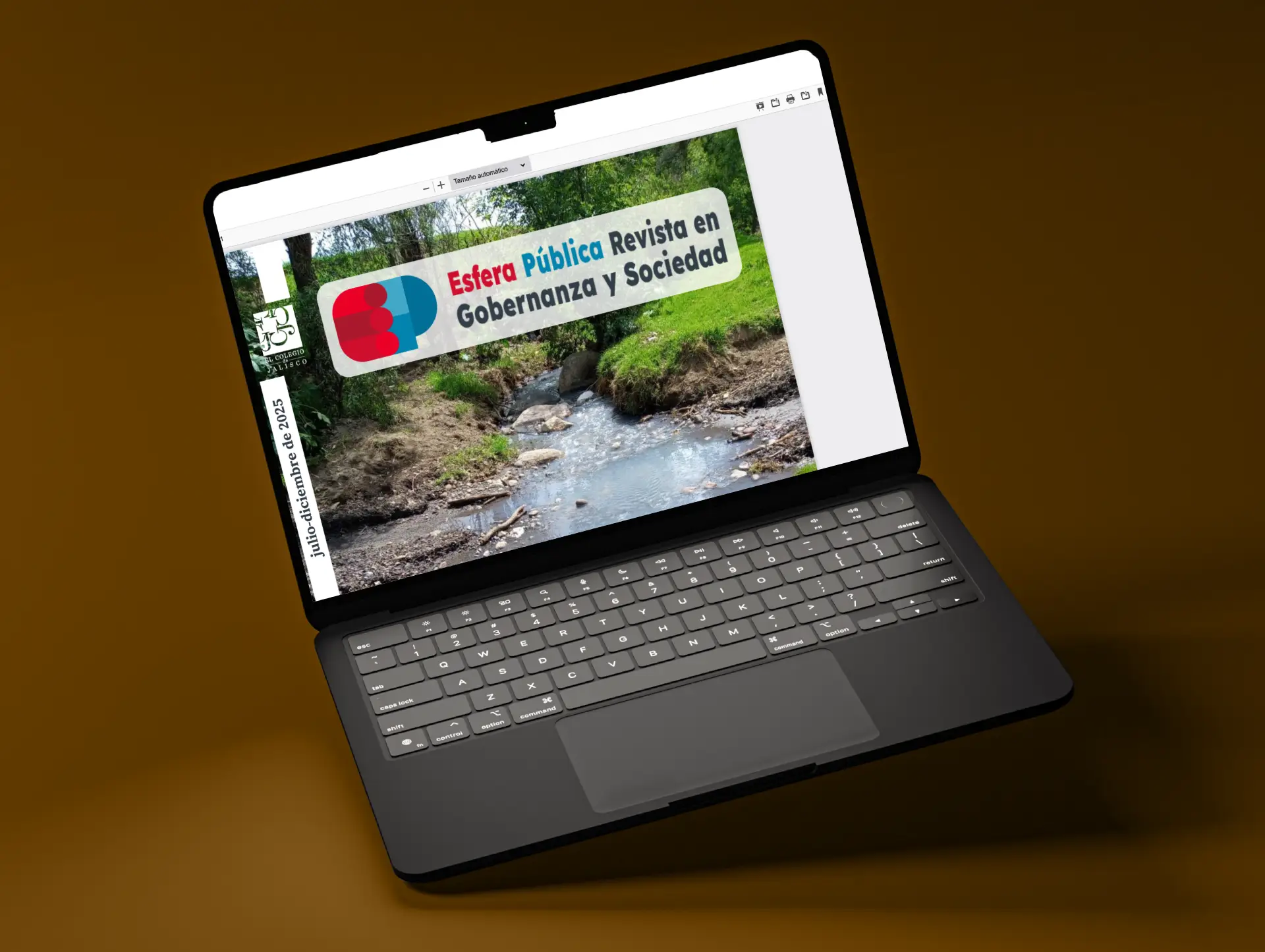 Revista Electrónica Esfera Pública — Implementación y diseño en Open Journal Systems (OJS)