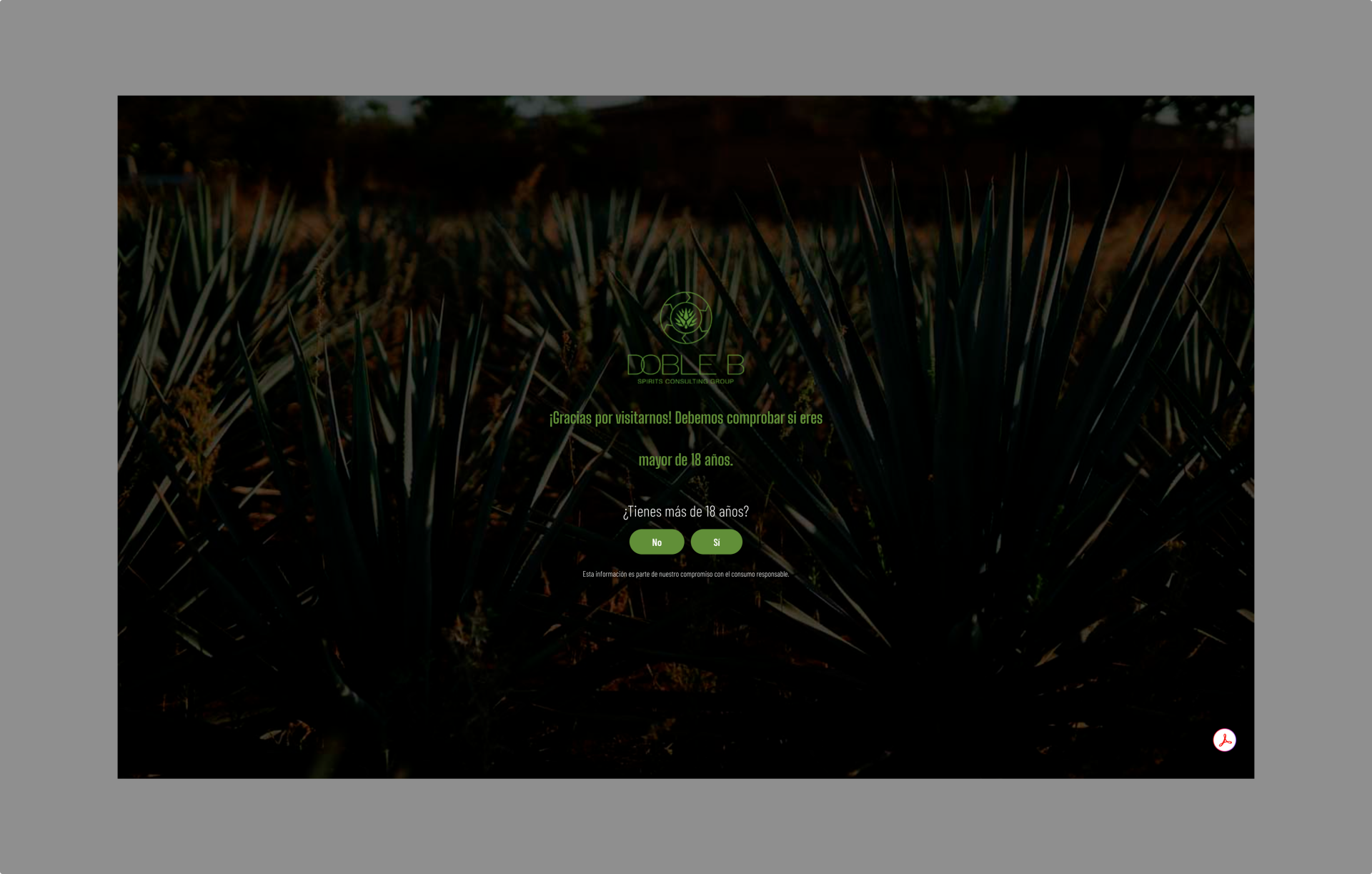 Desarrollo y Diseño Web en WordPress para DobleB Spirits: Consultoría en Destilados