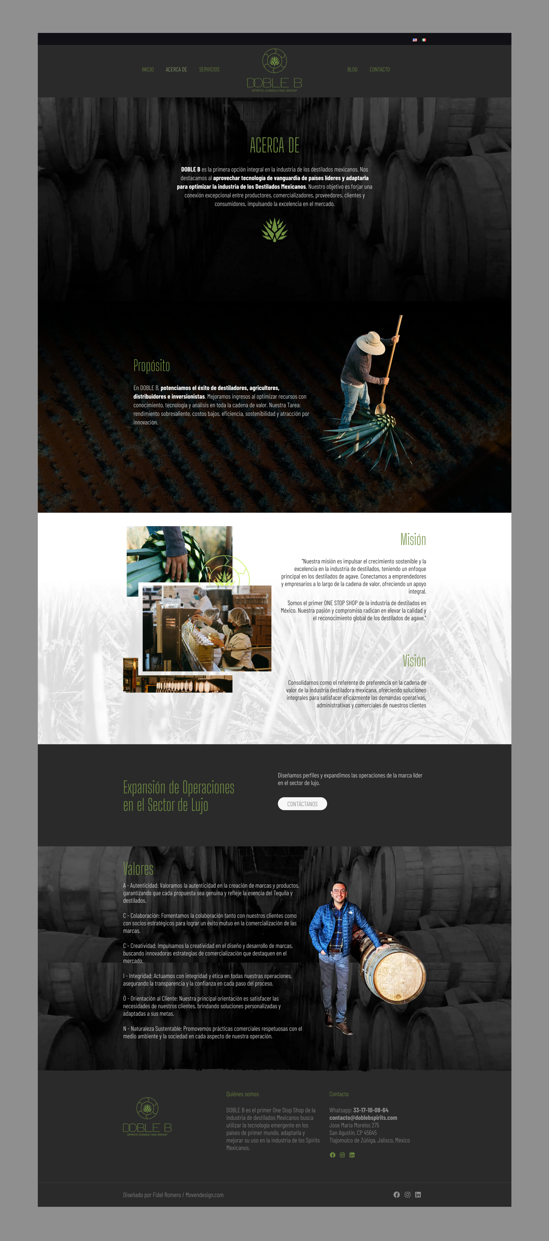 Desarrollo y Diseño Web en WordPress para DobleB Spirits: Consultoría en Destilados