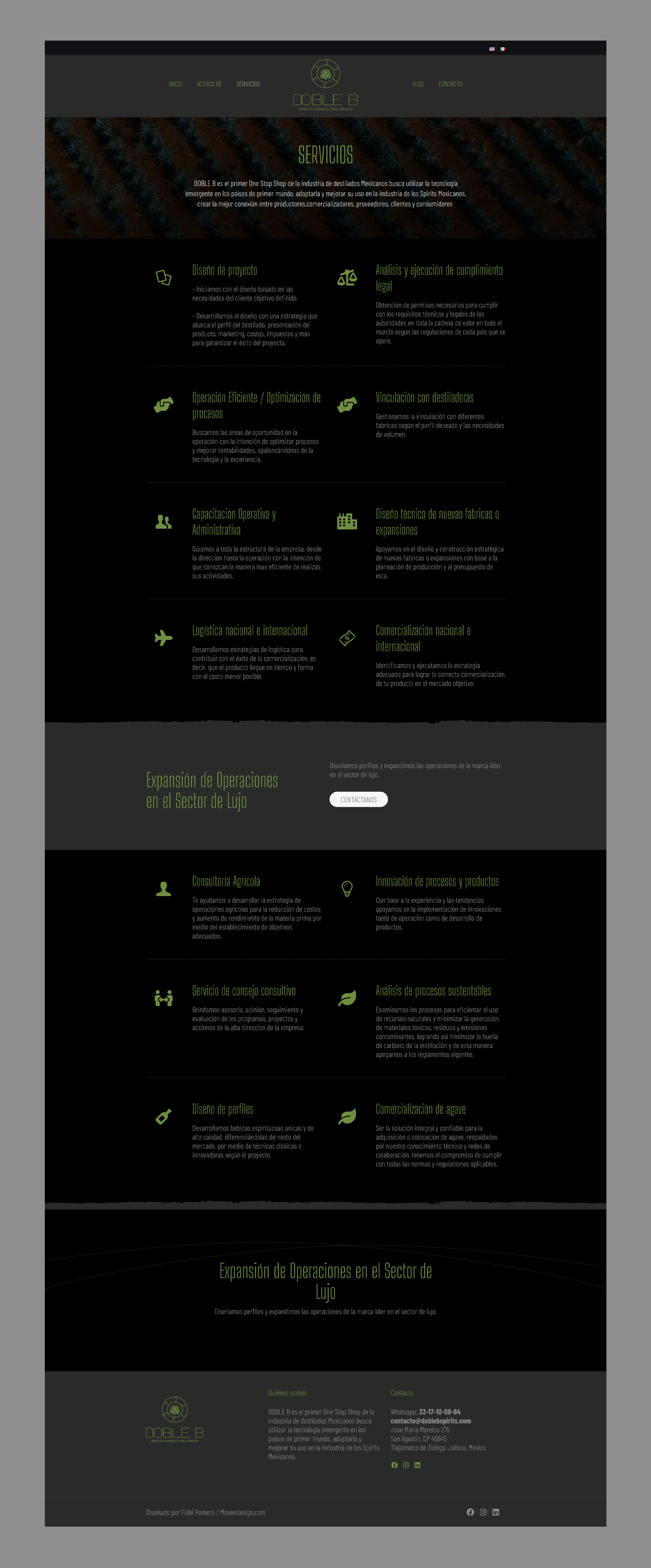 Desarrollo y Diseño Web en WordPress para DobleB Spirits: Consultoría en Destilados